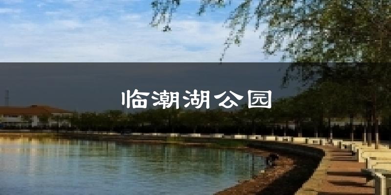 臨潮湖公園天氣預報十五天