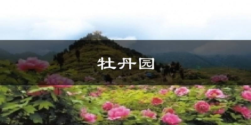 牡丹園天氣預(yù)報(bào)十五天