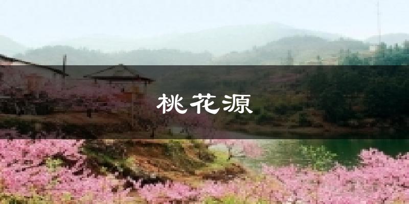 桃花源氣溫